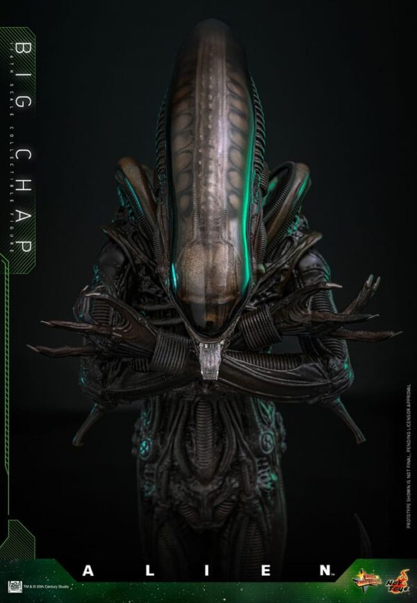 Alien Hot ToysMovie Masterpiece 1/6 Big Chap 36 cm - Imagen 4