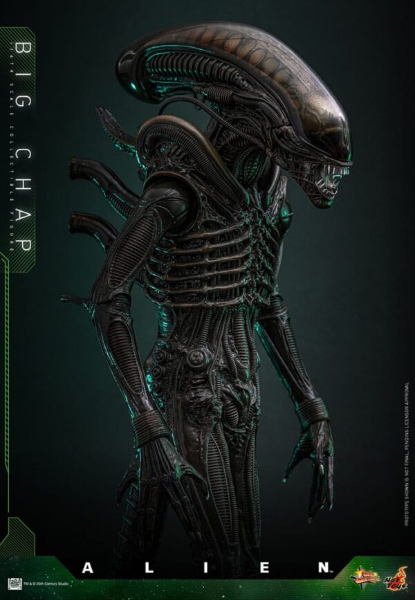 Alien Hot ToysMovie Masterpiece 1/6 Big Chap 36 cm - Imagen 5