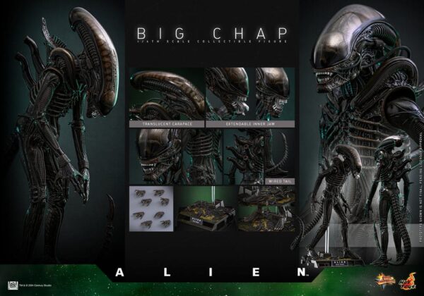 Alien Hot ToysMovie Masterpiece 1/6 Big Chap 36 cm - Imagen 10